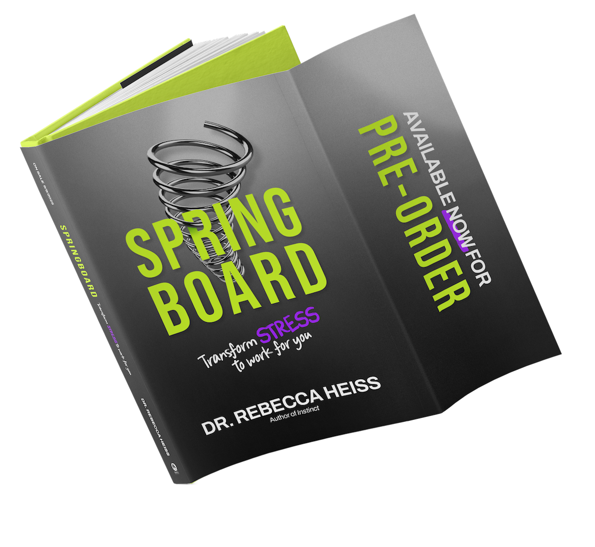 Dust Jacket 3D Book Cover - SPRINGBOARD - No Shadow